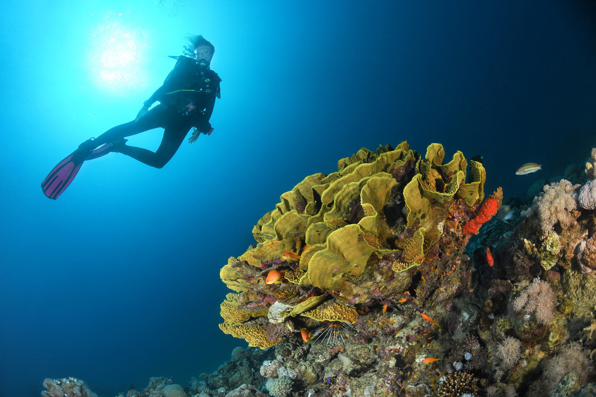Nha Trang Diving